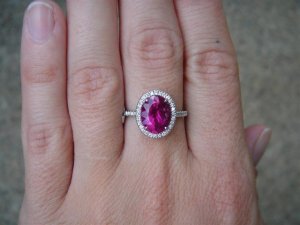 DSC00093 (Small).JPG