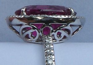 DSC00087zoom.jpg