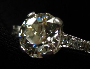 IMG_3940small (Small).jpg