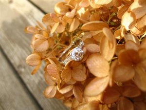 IMG_4442 (Small).JPG