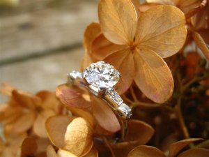 IMG_4449 (Small).JPG