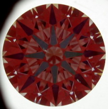 ltsc111.jpg