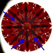 vina01.jpg