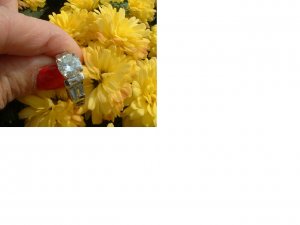 Picture u029.jpg