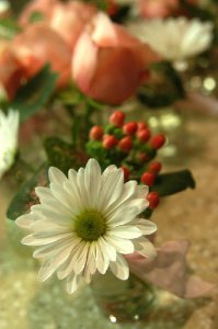 Professional Wedding Pictures 005.jpg