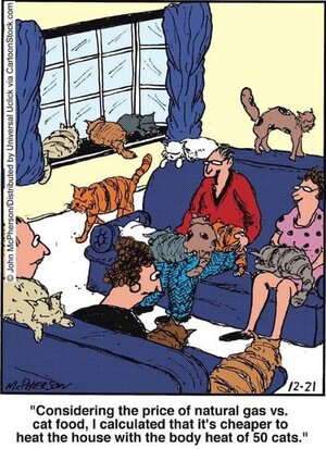 catbodyheat.jpg