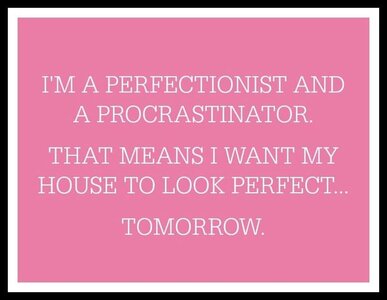 perfectionistandprocrastinator.jpg