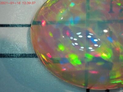 1CD105C2-C2CE-4155-BE23-6D538EEE9AF9.jpeg