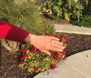 5.05ct OEC Distance 102.jpg 5.05ct OEC Distance 102.jpg