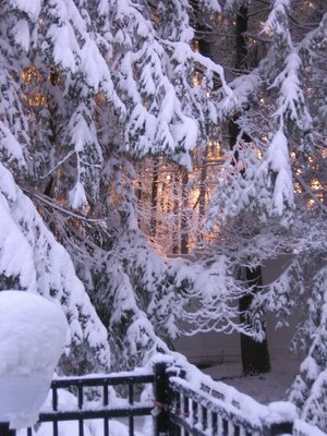 IMG_2533.jpg