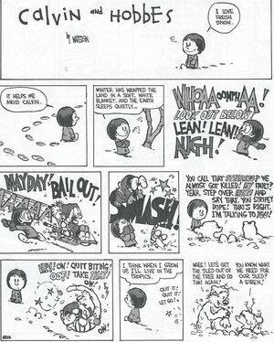 calvinandhobbessnow.jpg