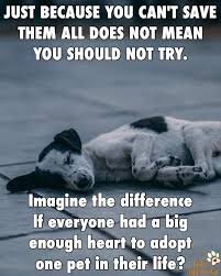 savethemall.jpg