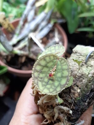 20201220_112949.jpg