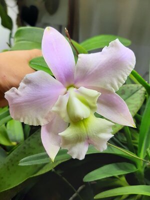 20201219_094943.jpg