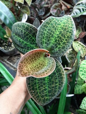 20201207_155839.jpg