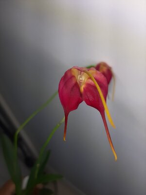 20201129_083705.jpg