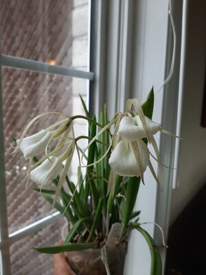 20201113_131335.jpg