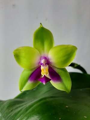 20201113_130726.jpg