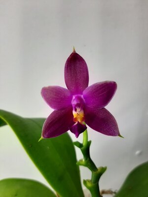 20201113_130621.jpg