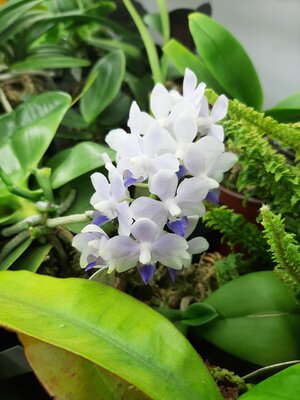 20201002_151713.jpg