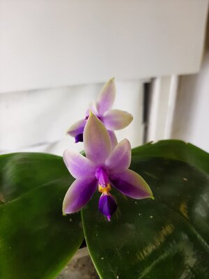 20200827_123045.jpg