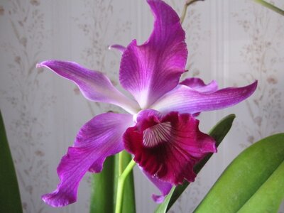 img_8464.jpg