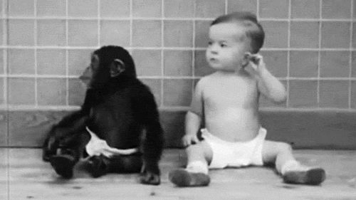 humanorape.gif