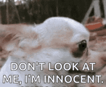 3D74699E-9089-4E37-9206-F667E168A9F9.gif