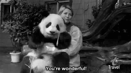 hugpanda.gif