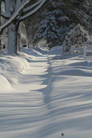 january2011jerseyshoresnow.jpg
