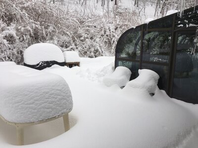 snowbyanneandharveyjan2021.jpg