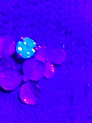 IMG_20210131_160317222.jpg
