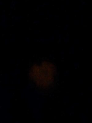 IMG_20210131_160413199.jpg