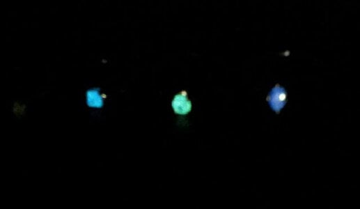 Fluorescence cropped2.jpg