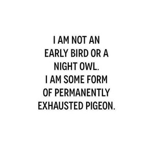 exhaustedpigeon.jpg