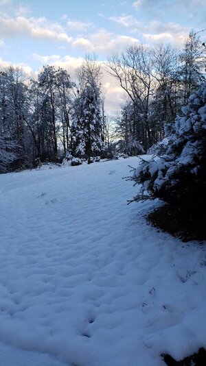 scsnow.jpeg