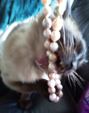 testing pearls.jpg