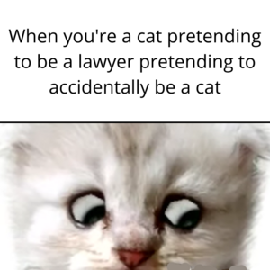 pretending.png