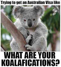 koalafications.jpg