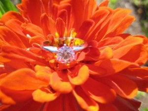 Ring Flower 3.jpg