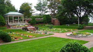 Lynch Park3_5357.jpg