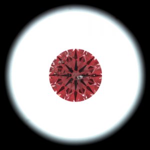IS_EGL700446.jpg
