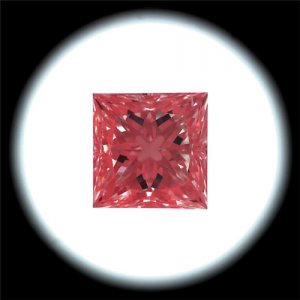 IS_AGS-6867307.jpg