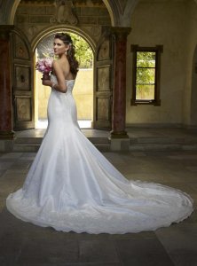 1902_dress_back2.jpg