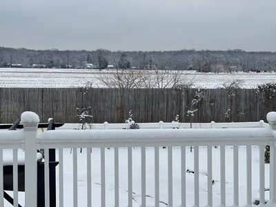 978A1579-096E-4D58-9E78-1746415F535F.jpeg
