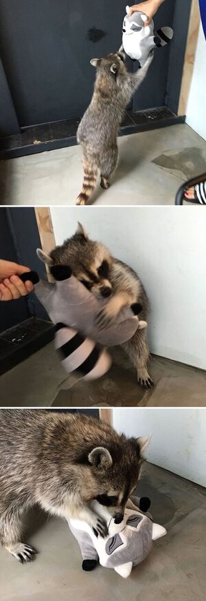 8ba8d7d58b3fff9417b3d7b0d6e3b331.jpg