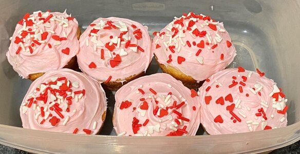Valentines cupcakes (cropped).jpg