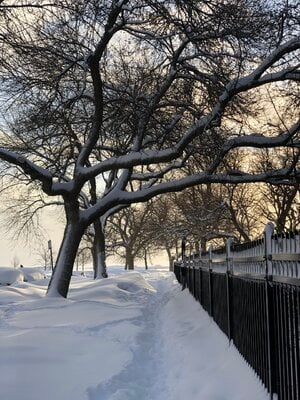 97EE7873-9F4B-4244-A0DA-481A9836141F.jpeg