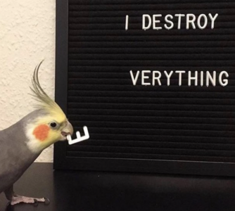 jhg.png