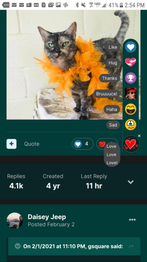 Screenshot_20210219-145444.png